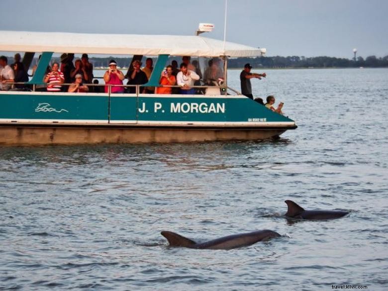 Balades en bateau avec les dauphins à l île Jekyll