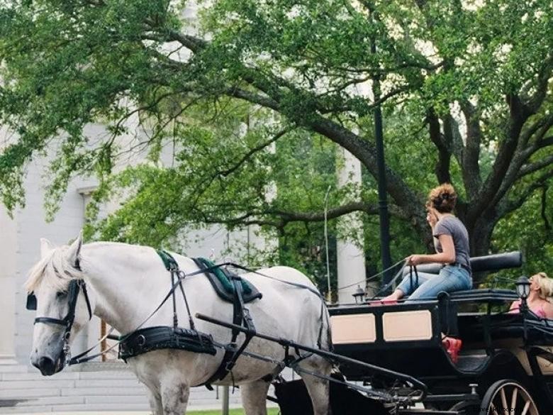 Visites historiques en calèche à Savannah