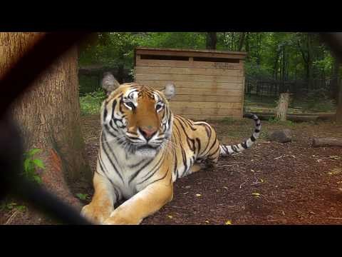 Le Sanctuaire Animalier de l Arche de Noé