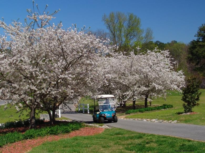 Itinéraires en voiturette de golf à travers Peachtree City