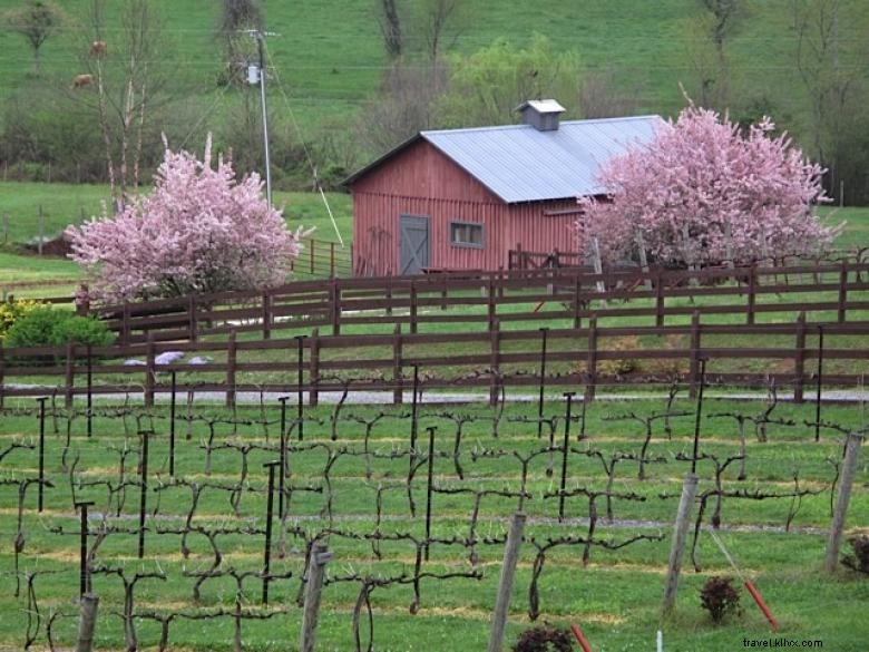 Les vignobles Stonewall Creek