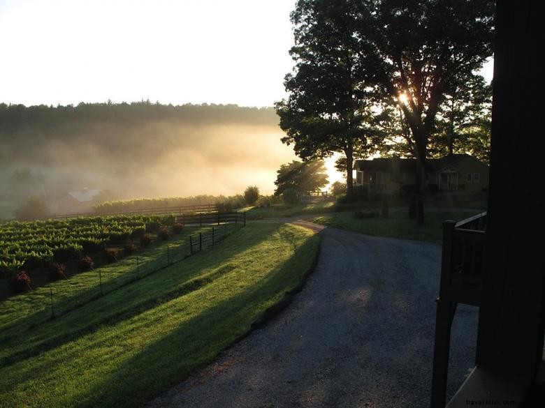 Les vignobles Stonewall Creek
