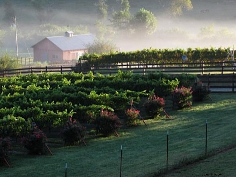 Les vignobles Stonewall Creek