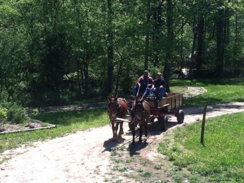 Avant‑post d’aventure Hell’s Hollow – Blue Ridge, Géorgie