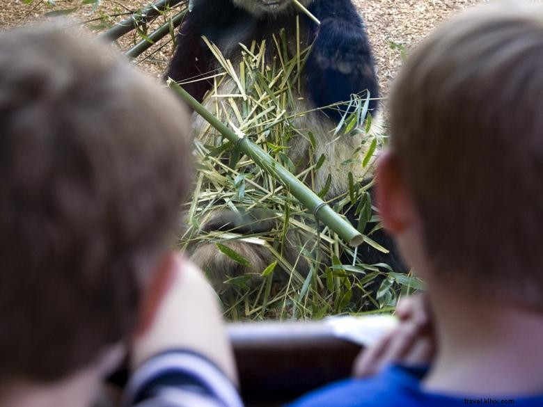 Le Zoo d Atlanta