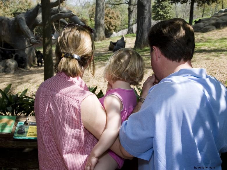 Le Zoo d Atlanta