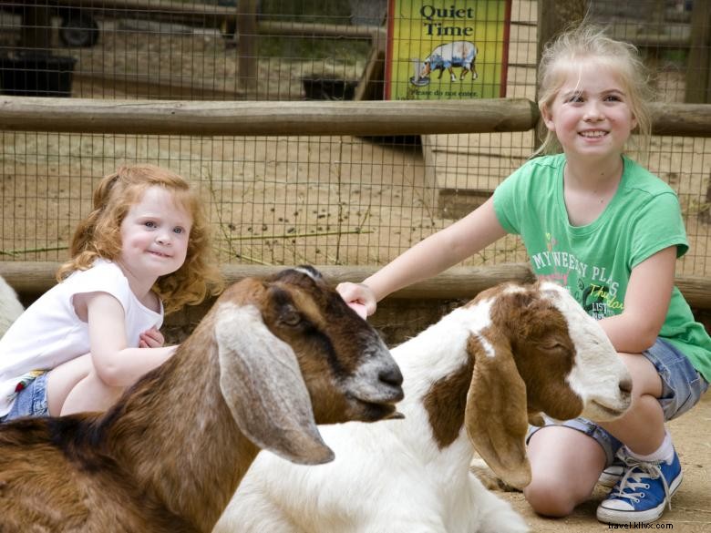 Le Zoo d Atlanta