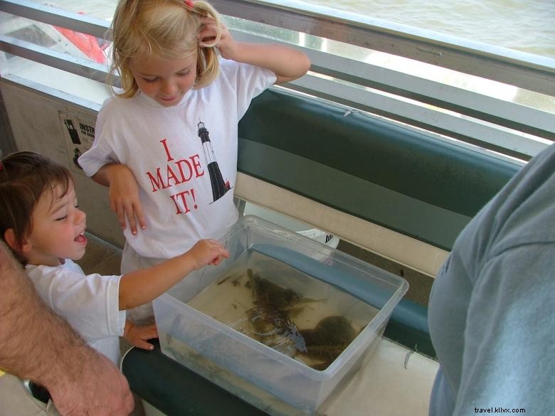 Bull River Cruises – Tours Écologiques