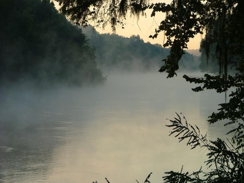 Bull River Cruises – Tours Écologiques