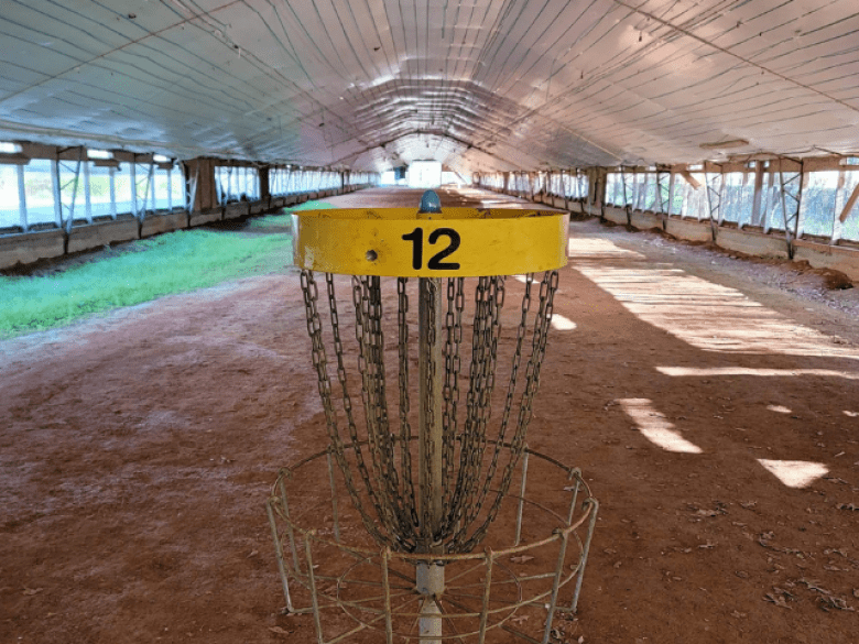 Bomb Squad Disc Golf aux North Georgia Canopy Tours