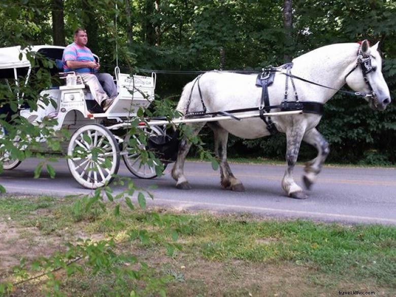Compagnie de transport alpin