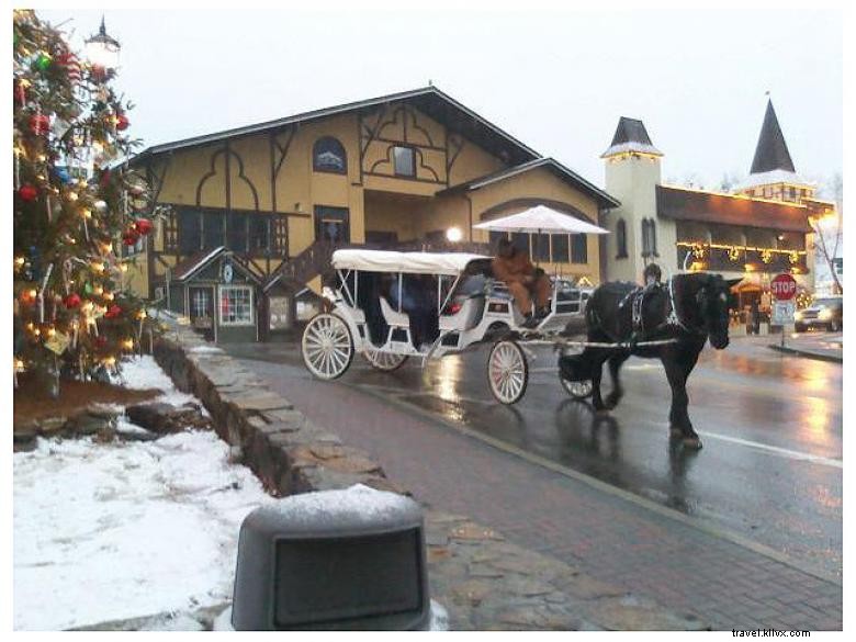 Compagnie de transport alpin