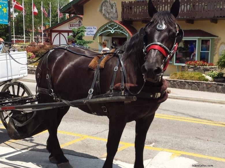 Compagnie de transport alpin