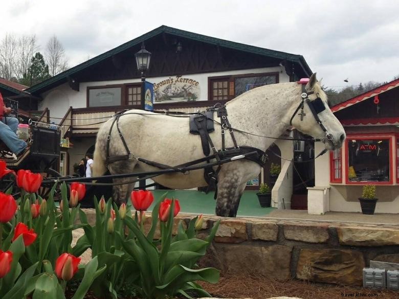 Compagnie de transport alpin