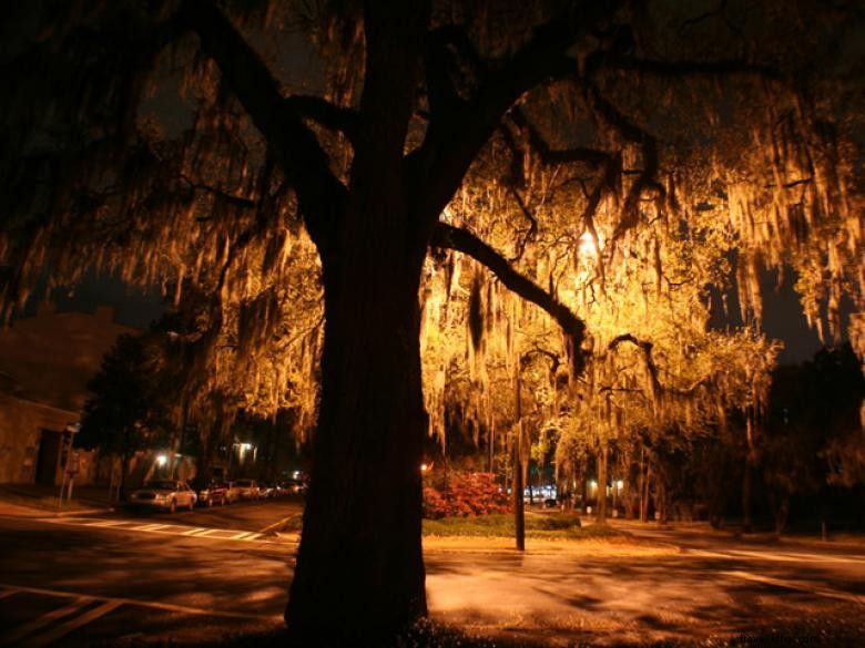 Visites guidées à pied de Savannah