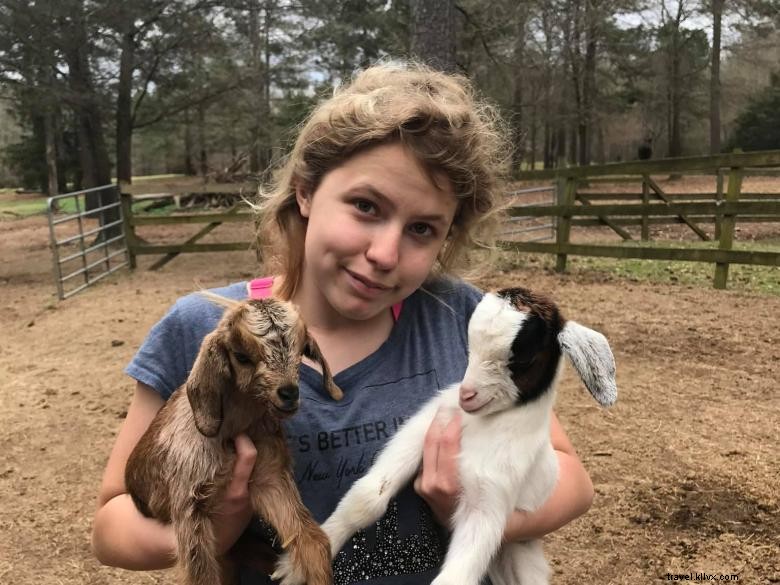 Ferme et boutique Shiloh Acres – Découverte