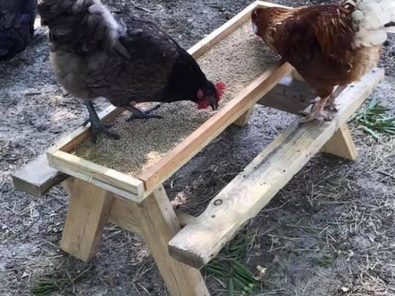 Ferme et boutique Shiloh Acres – Découverte