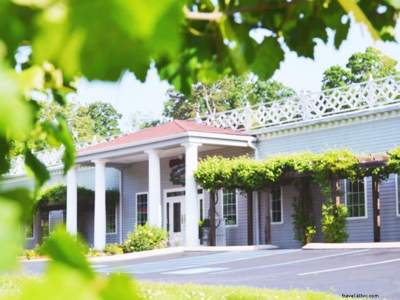 La Cave de Géorgie – Dégustation de vins du Sud