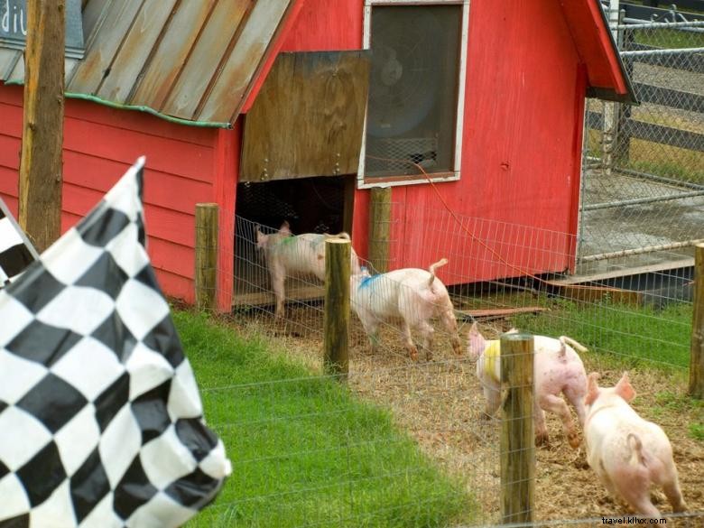 Ferme Southern Belle