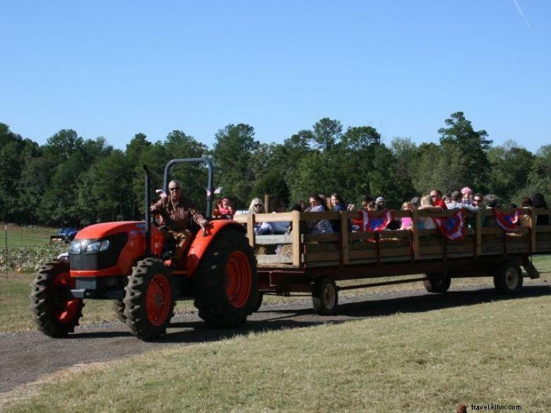 Ferme Southern Belle