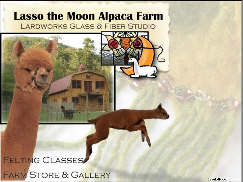 Ferme Lasso the Moon Alpaga & Atelier Lardworks : Verre, Fibre et Bijoux