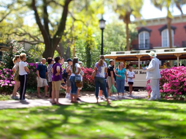 Visites de la vieille Savannah