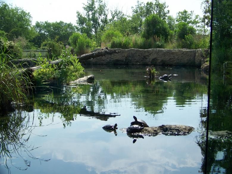 Flint RiverQuarium – L Aquarium du Fleuve Flint à Albany