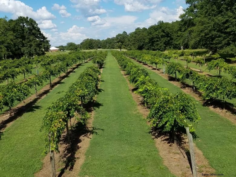 Vignoble et cave Wolf Creek