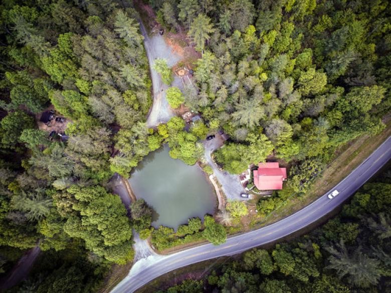 Le village de Lilly Pad