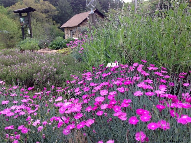 Jardins du Centre de Recherche et d Éducation des Montagnes de Géorgie