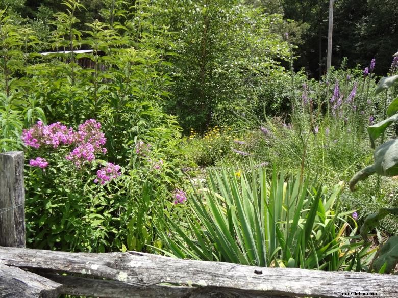 Jardins du Centre de Recherche et d Éducation des Montagnes de Géorgie