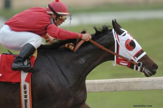 Une soirée au Delta Downs : courses, paris et dîner