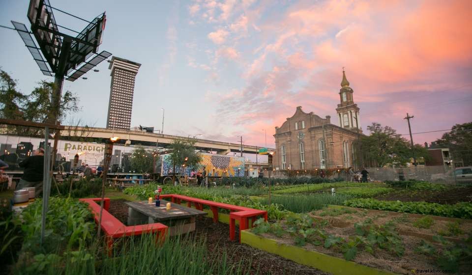 Du champ à l’assiette : les meilleurs restaurants farm‑to‑table de la Nouvelle‑Orléans