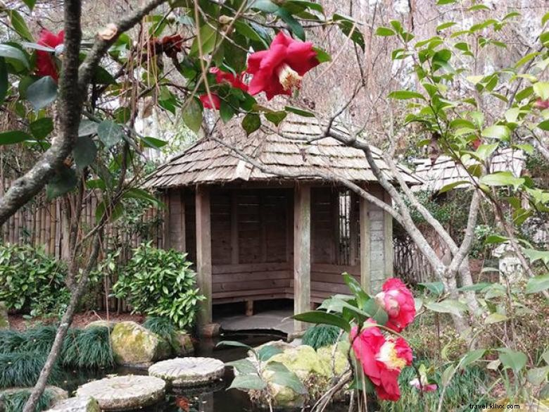 Massee Lane Gardens – Siège historique de l American Camellia Society