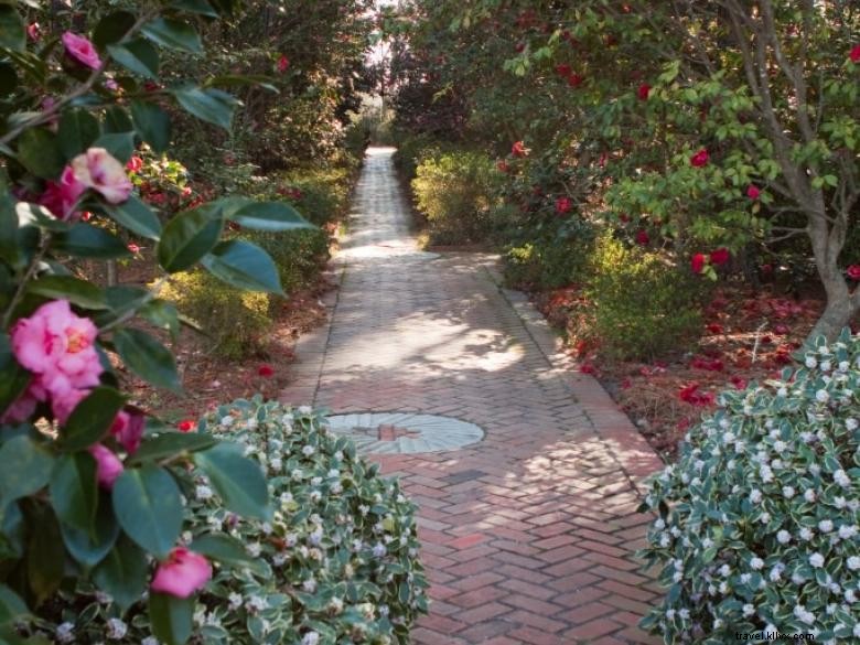 Massee Lane Gardens – Siège historique de l American Camellia Society