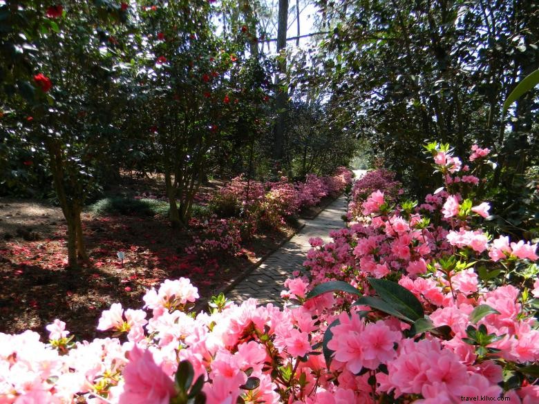 Massee Lane Gardens – Siège historique de l American Camellia Society