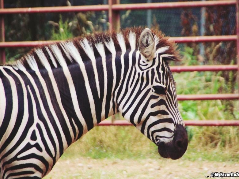 Parc animalier et safari du nord de la Géorgie