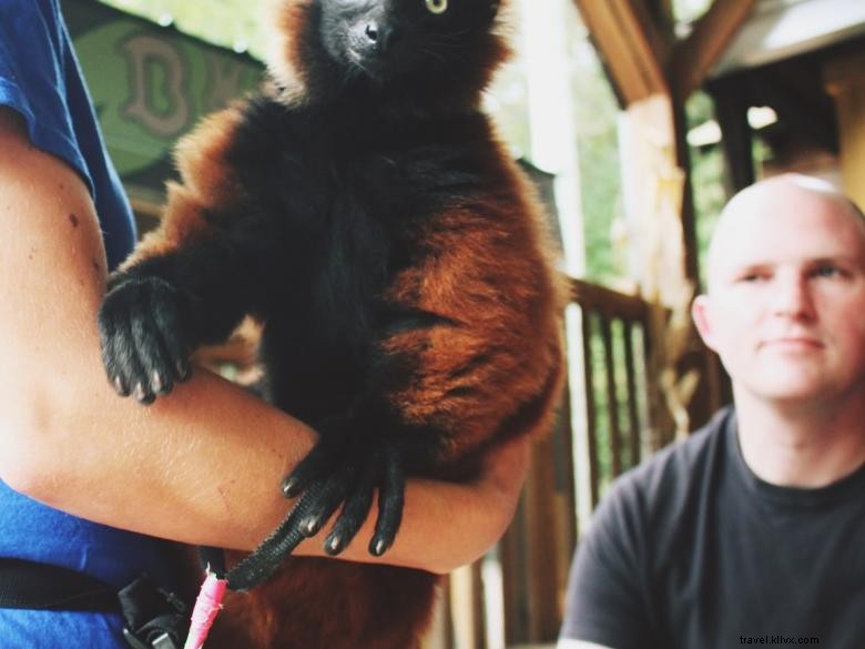 Parc animalier et safari du nord de la Géorgie