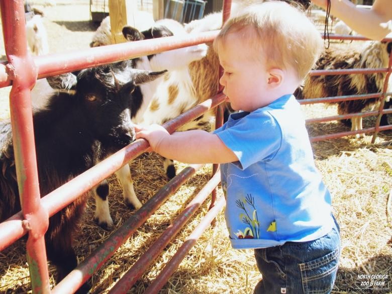 Parc animalier et safari du nord de la Géorgie
