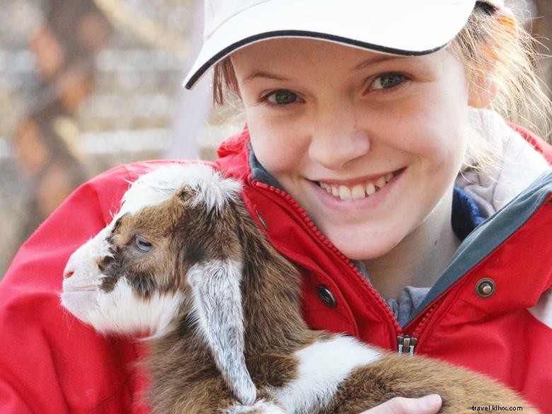 Parc animalier et safari du nord de la Géorgie