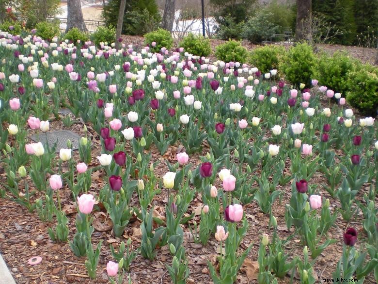 Jardin botanique d Atlanta – Site de Gainesville