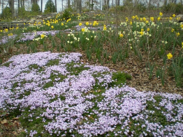 Jardin botanique d Atlanta – Site de Gainesville