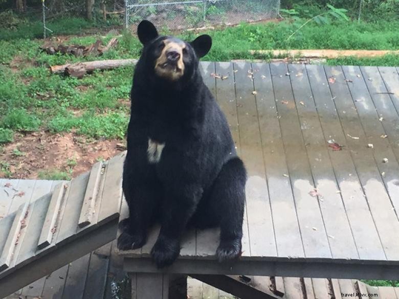 Zoo du Creux d’Ours