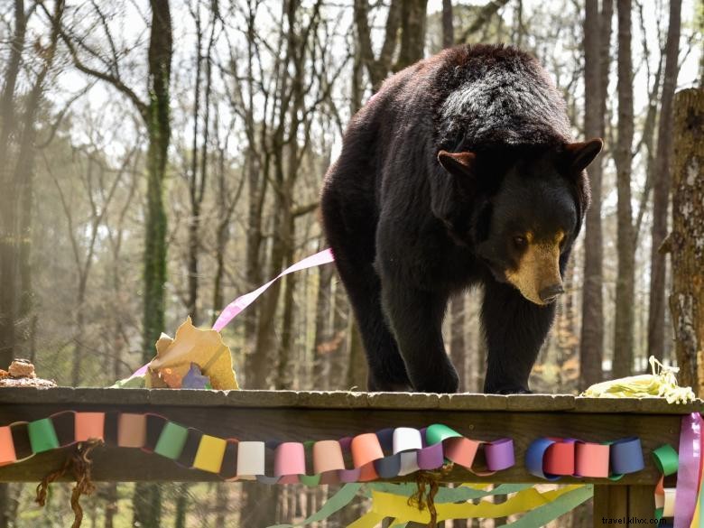 Zoo du Creux d’Ours