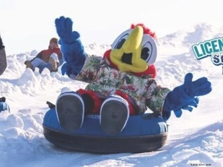 Licence Chill Snow Island – Fun hivernal en Géorgie