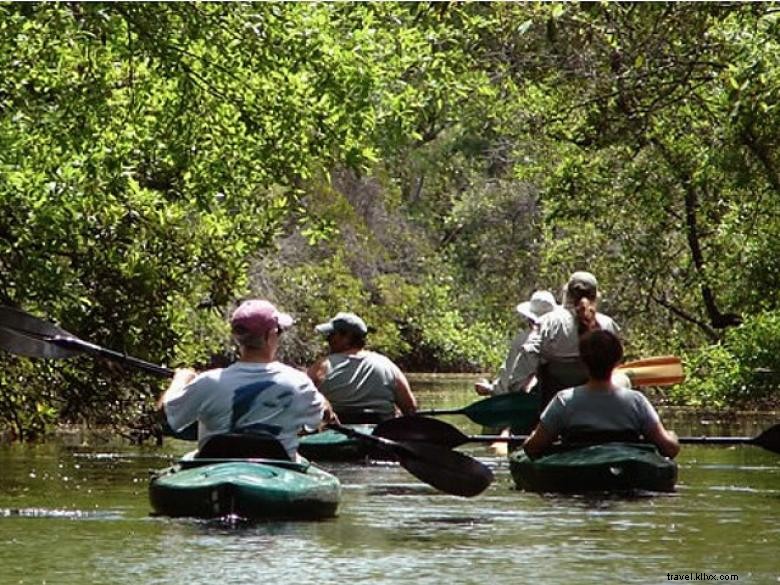 Aventures dans l Okefenokee