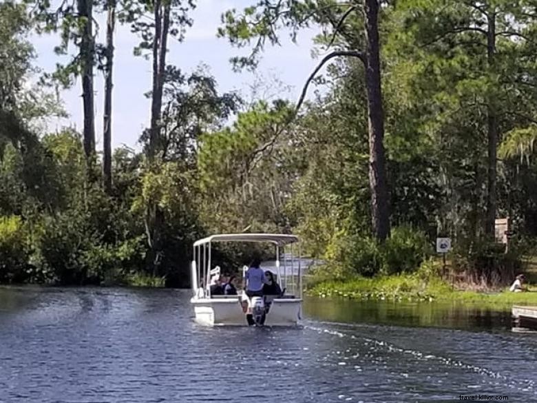 Aventures dans l Okefenokee