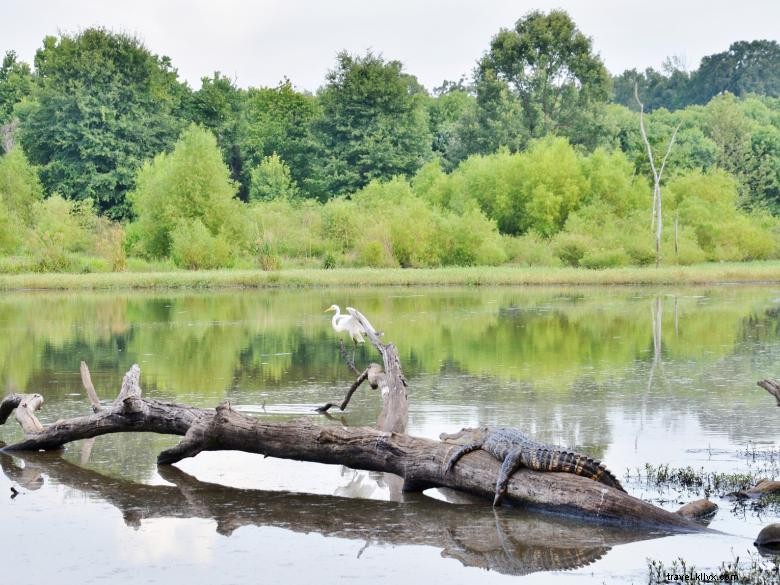 Parc historique national des monticules d’Ocmulgee