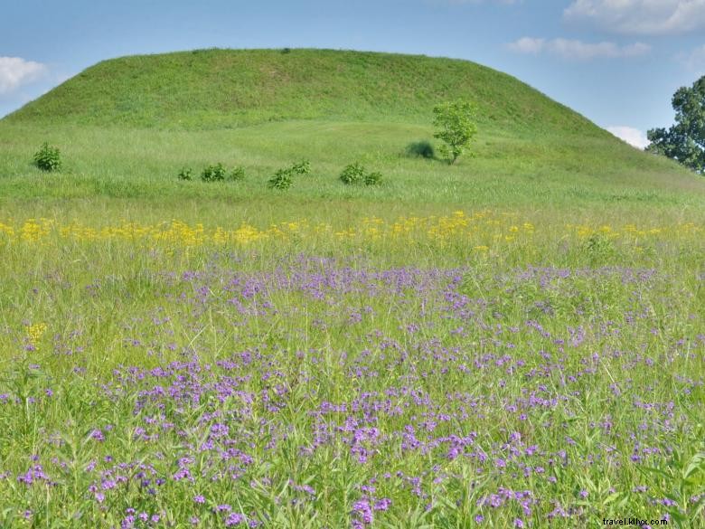 Parc historique national des monticules d’Ocmulgee