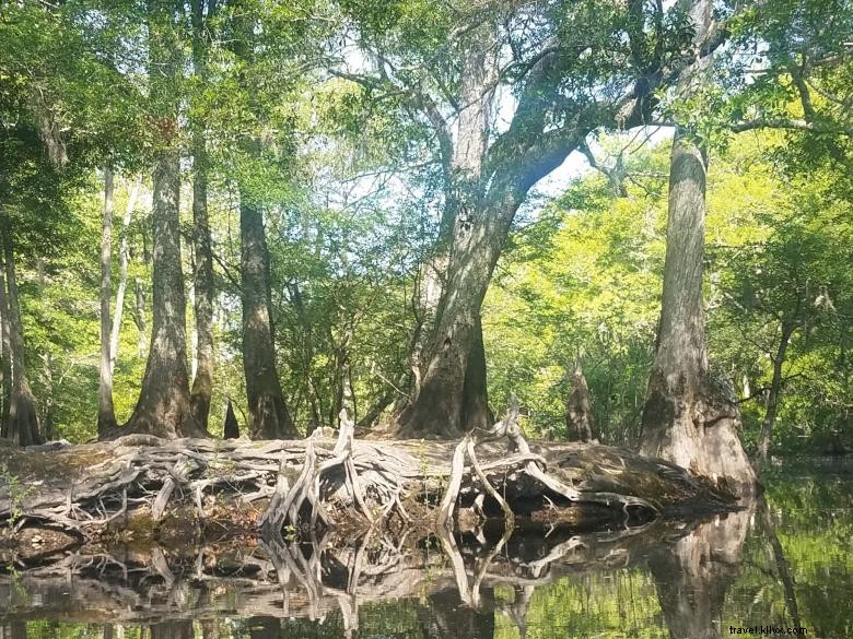Expéditions dans les eaux calmes d’Ebenezer